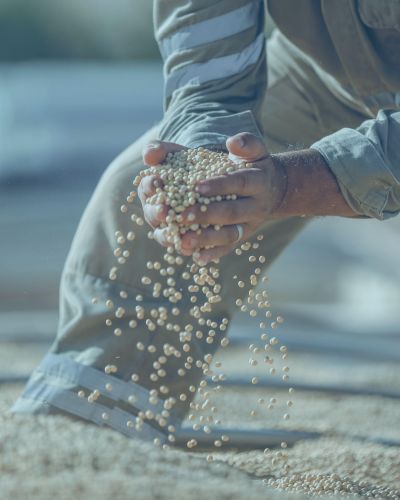 Agricultural Commodities